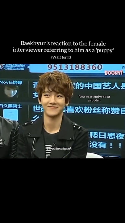 When #baekhyun was called puppy by female interviewer #kpop #exo #chanyeol #kai #kpopdemonhunter #fy