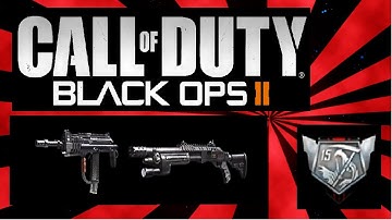 Black ops 2 Ruthless TDM