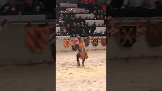 Medieval Falconry Hawk Flys Over Dinner Guests At Medieval Times Chicago