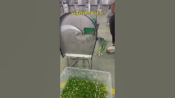 Fully Automatic Green Onion Slicing Machine 802H Teemyeah Machinery