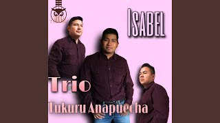 Video thumbnail of "Trío Tukuru Anapuecha - Flor de Pino"