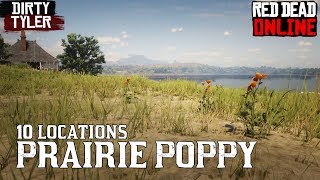 Prairie Poppy Locations RDR2 Red Dead Online (Prairie Poppy Location) - YouTube