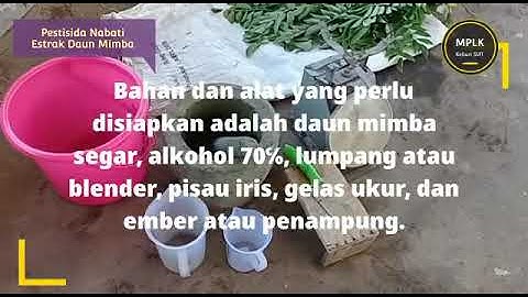 Pembuatan Pestisida Nabati Ekstrak Daun Mimba
