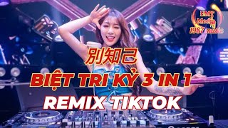 Remix | Biệt Tri Kỷ - Hải Lai A Mộc | 別知己 (海來阿木) Remix | Nhạc Hoa Hot Douyin Tiktok