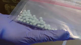 Greg Abbott launches "One Pill Kills" campaign to combat spread of fentanyl