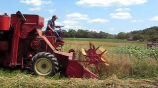 Massey Harris 35 combine in oats