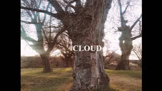 Dario D&39;Attis Feat Lisa Shaw -All Over Again (Rocco Deep Mix)