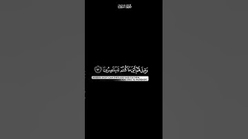 يوم لا ينفع مال و لا بنون | كرومات شاشة سوداء القران الكريم | القارئ ياسر الدوسري