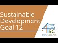 Sustainable Development Goal 12 Quiz