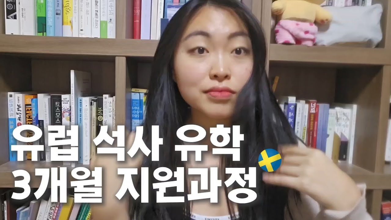 🙋‍♀️유럽 경영 석사 지원 3개월 만에 가능? 네덜란드/스웨덴/프랑스/석사 유학/도피유학? #석사유학 #유럽유학