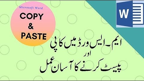 How to Copy & Paste for Beginners : MS Word Skills