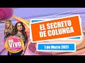 🔴 LA VERDAD detrás de la RENUNCIA DE FERNANDO COLUNGA con MALVERDE [Show completo] | Chisme en Vivo