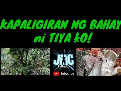 KAPALIGIRAN NG BAHAY ni TIYA ko!