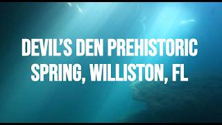 Diving Devil's Den Prehistoric Spring Part 1