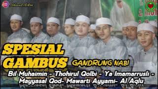 SPESIAL GAMBUS 2023 || GANDRUNG NABI || BIL MUHAIMIN