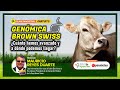 Clase gratuita genmica brown swiss  cunto hemos avanzado y a dnde podemos llegar