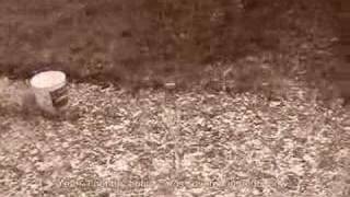 Freak Hail Storm: Richmond Hill: June 16th 2008