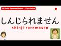 250 Polite Japanese Phrases | 1 Hour Lesson（ENG SUB）