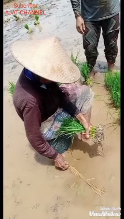 Story/Status WA IG Doa Untuk Orang Tua Sedih Menyentuh Hati Bikin Menangis