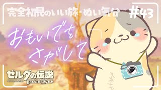 【ブレワイ】#43 探し物はなんですか？最後の思い出です... 🍣いい旅・ぬい気分【ゼルダの伝説BotW/むぅたま VTuber】