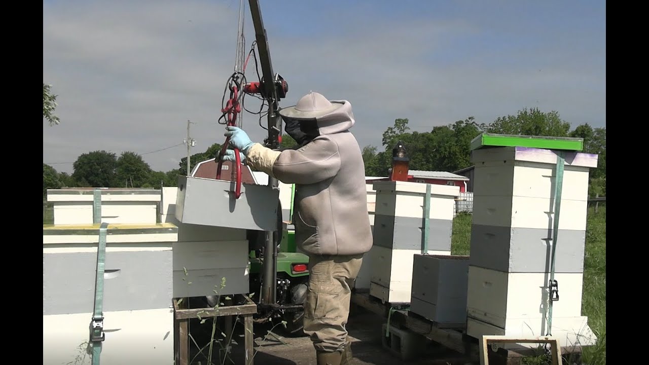 # beehive inspection and working on the #beehive lifter