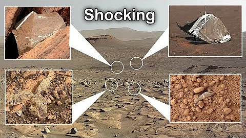 NASA’s Perseverance and Curiosity Rovers Found Shocking Discoveries on Mars