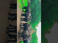 #_jafrabadi_buffelo_lover#animals #_milk #gujrati #like #subscribe #buffalovideo
