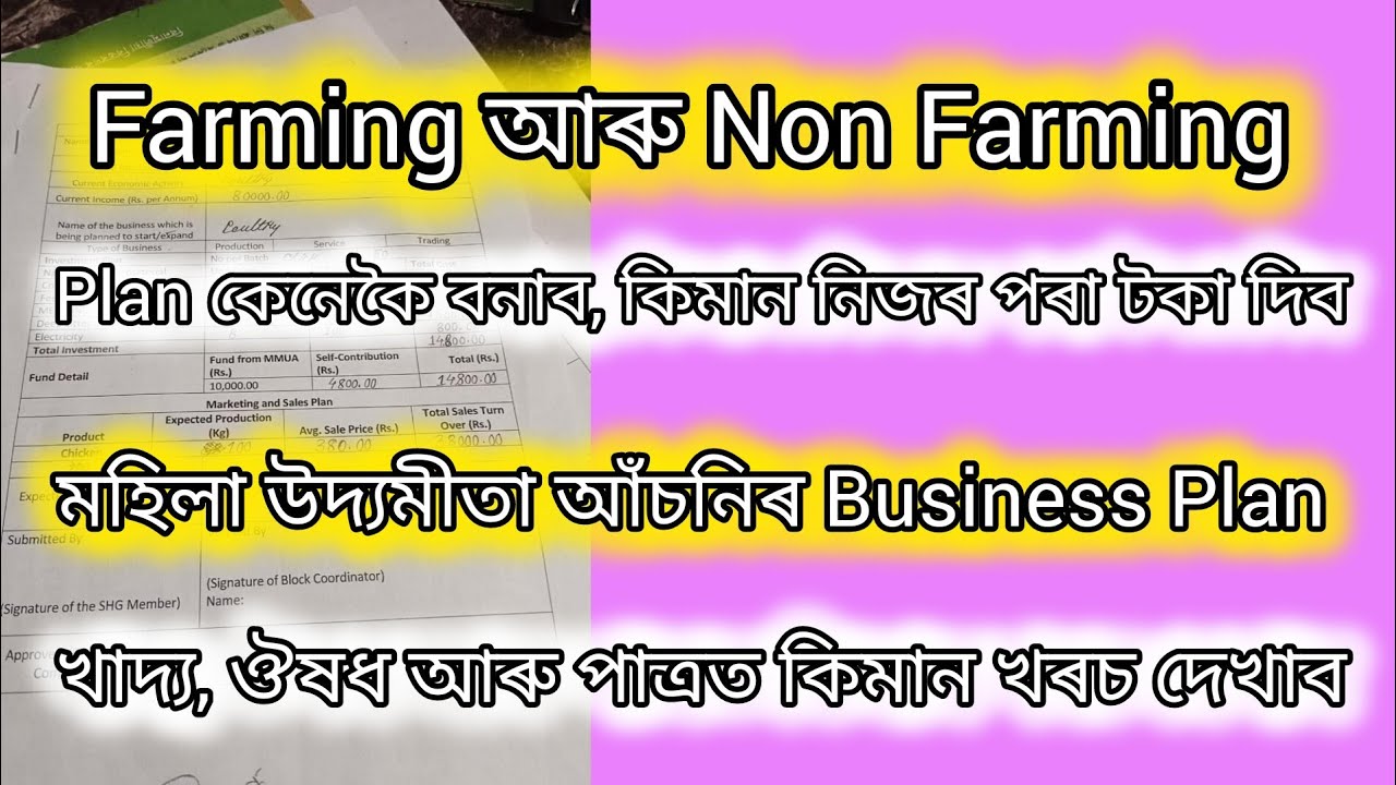 Mukhyamantri Mahila Udyamita Asoni How To Fill Up Business Plan Mukhyamantri Mahila Udyamita Asoni How To Fill Up Business Plan