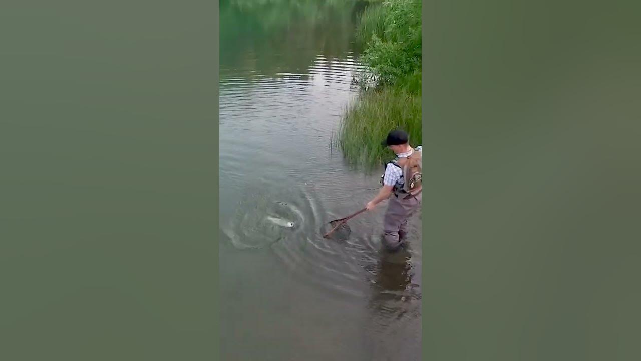 Fly Fishing the Hex Hatch, Henderson Springs