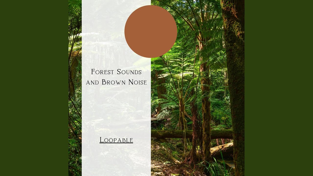 [Loopable] Into the Forest, Brown Noise auf YouTube ansehen