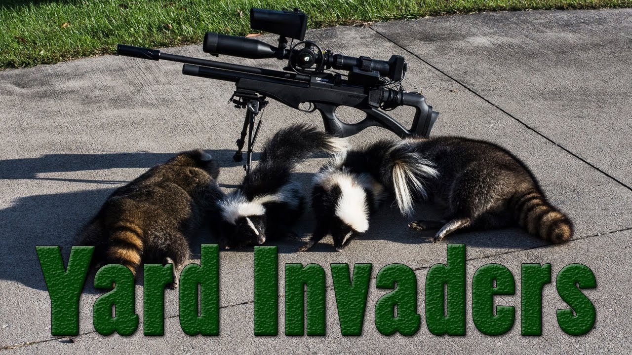wctc jobs Yard Invaders
