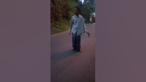 kakek kenak lempar batu, auto ngamuk versi untuk anak bahasa Madura 🤣🤣🤣