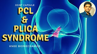 POSTERIOR CRUCIATE LIGAMENT & Plica syndrome( Knee Biomechanics) screenshot 4