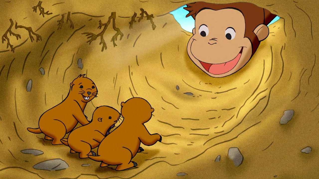 おさるのジョージ ホリネズミを助ける 🐵 おさるのジョージ - YouTube