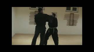 Tsuki Waza (punching techniques) - Bujinkan Ninjutsu Takamatsu den - 2009