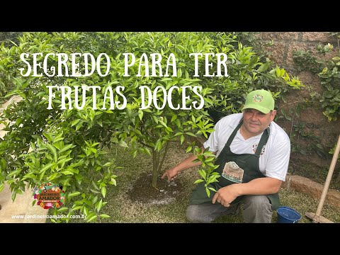 Vídeo: Por que frutas maduras são doces?