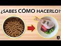 ✔️ Cómo EMPEZAR la DIETA BARF | Dieta EVOLUTIVA 🍗