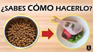 ✔ Cómo EMPEZAR la DIETA BARF | Dieta EVOLUTIVA