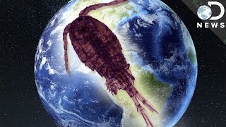 These Overlooked Organisms Are The Key To Life As We Know It These Overlooked Organisms Are The Key To Life As We Know It