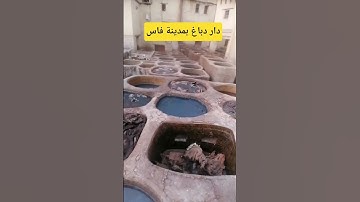 #تلاوة_مميزة #القارئ #الشيخ #خالد_الجليل #اكسبلور