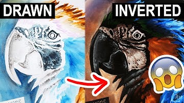 Inverted Color Challenge + How to Do It!