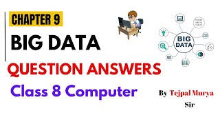 Class 8 Computer | Chapter 9 Big Data | Question Answers | All types question's solutions