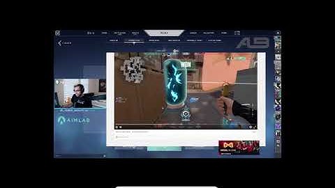 Game Breaking Bug Wall hack