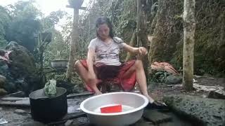 Paj Lauj Da Dej 567&