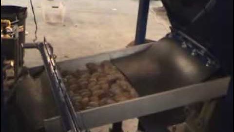 PS6000 Sticktight Pecan Sorter