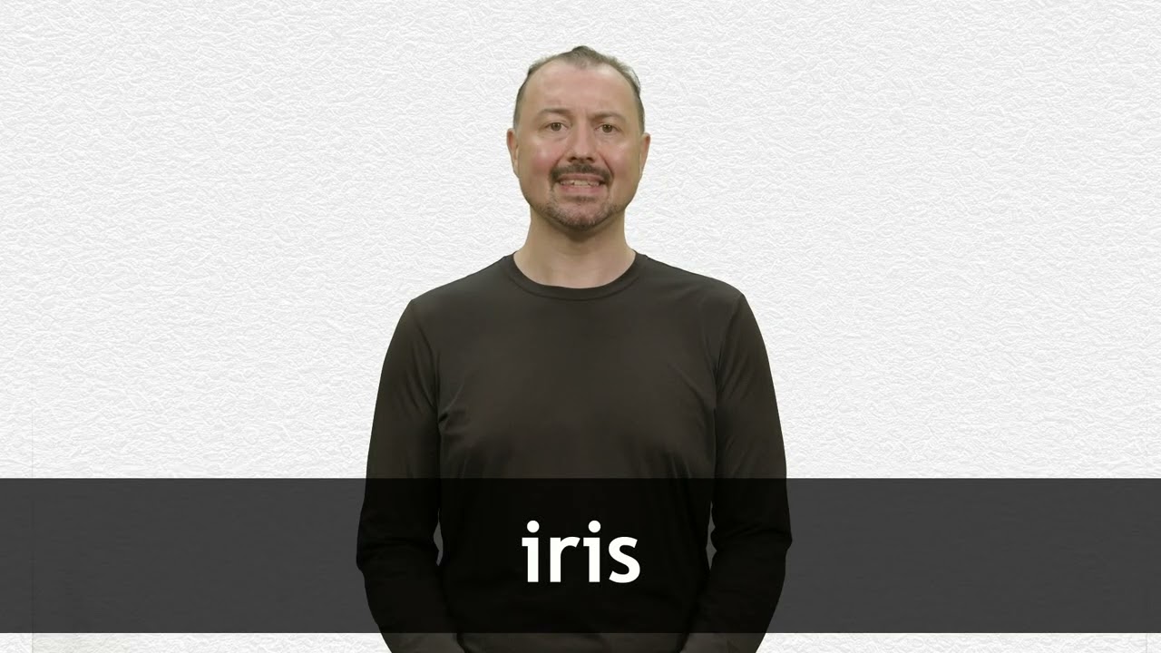 How to pronounce IRIS in French