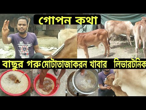 ভিডিও: একটি মেষ, বাছুর এবং আশীর্বাদ জন্য কি খাওয়া