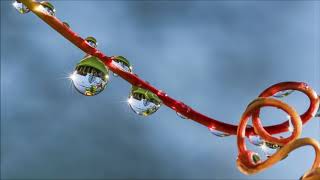 Drops Ringtone | Free Ringtones | Instrumental Ringtones screenshot 5