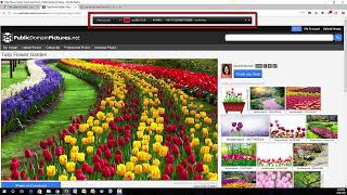 Details Colorzilla Demonstration Update