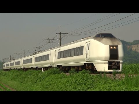 朝の両毛線を行く、651系勝田車の集約臨時列車。